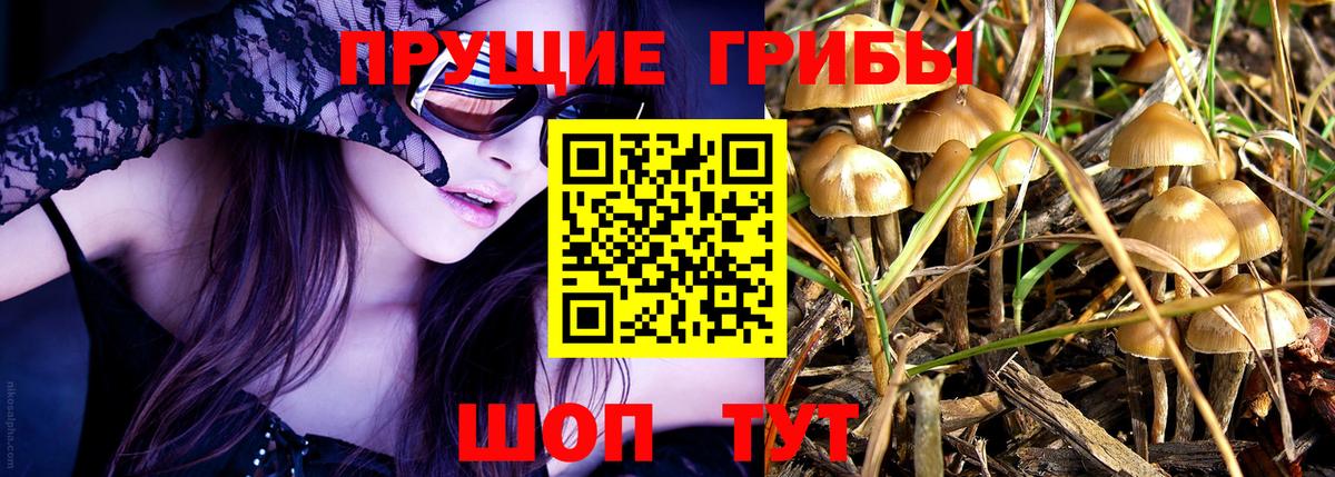 Галлюциногенные грибы Magic Shrooms  Вход с VPN  хочу   Псилоцибиновые грибы мухоморы  Вязники 